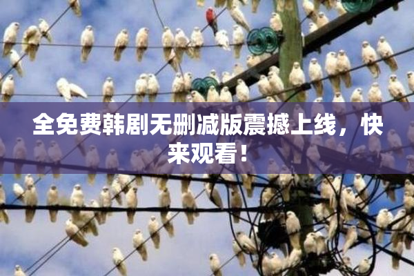 全免费韩剧无删减版震撼上线，快来观看！