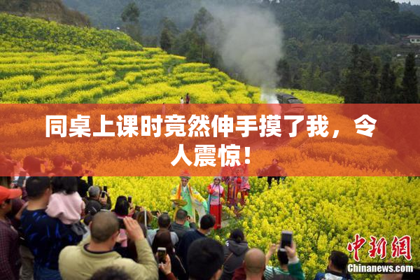 同桌上课时竟然伸手摸了我，令人震惊！