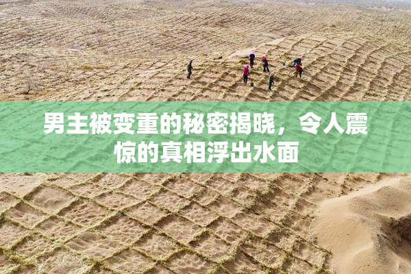 男主被变重的秘密揭晓，令人震惊的真相浮出水面