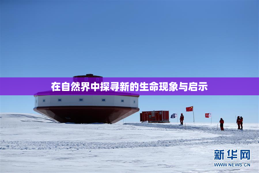 在自然界中探寻新的生命现象与启示
