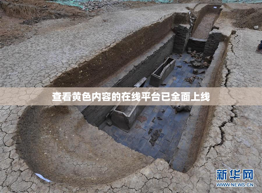 查看黄色内容的在线平台已全面上线