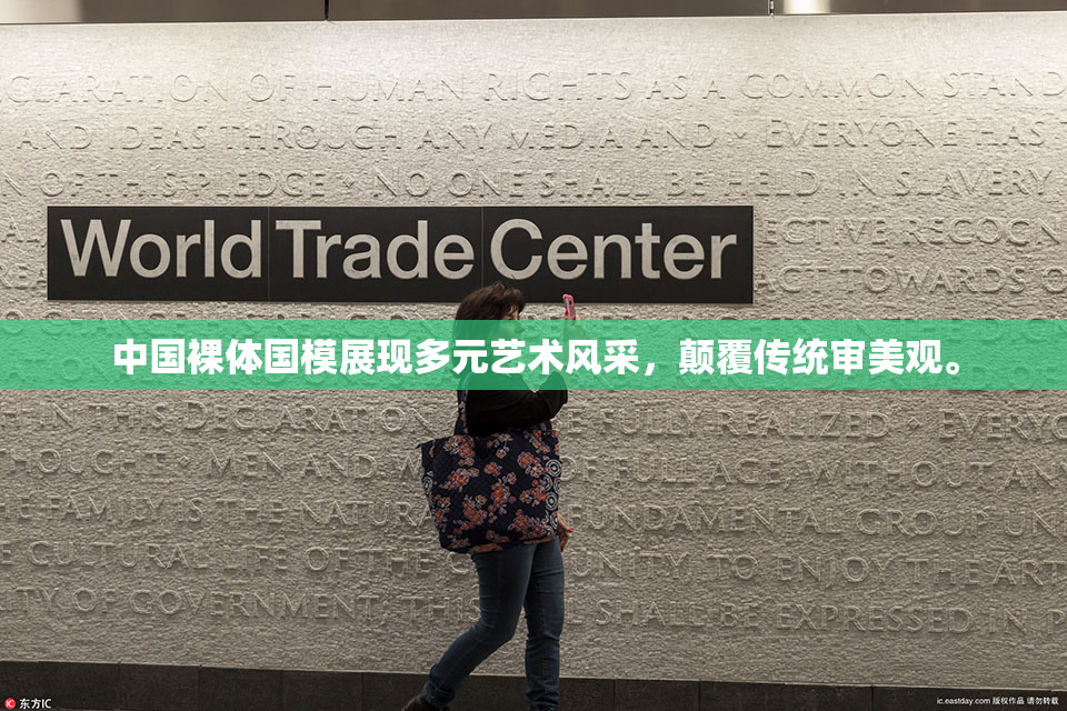 中国裸体国模展现多元艺术风采，颠覆传统审美观。