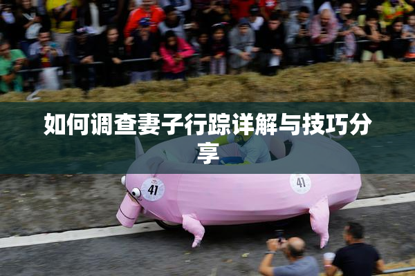 如何调查妻子行踪详解与技巧分享