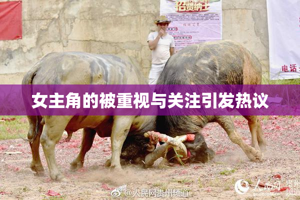 女主角的被重视与关注引发热议