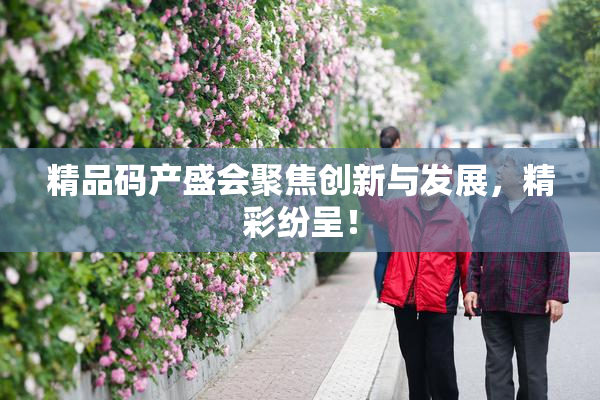 精品码产盛会聚焦创新与发展，精彩纷呈！