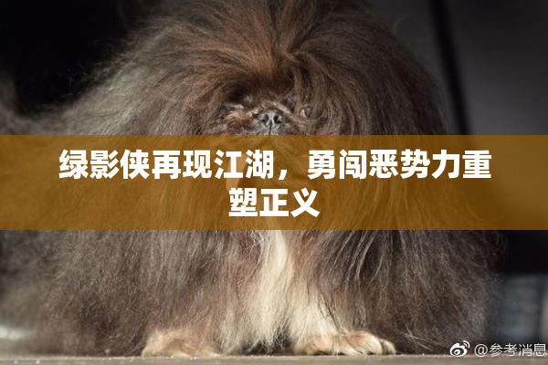 绿影侠再现江湖，勇闯恶势力重塑正义