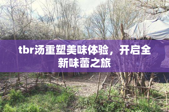 tbr汤重塑美味体验，开启全新味蕾之旅