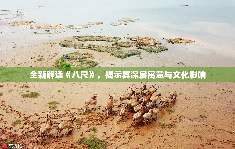 全新解读《八尺》，揭示其深层寓意与文化影响