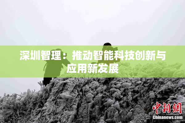 深圳智理：推动智能科技创新与应用新发展