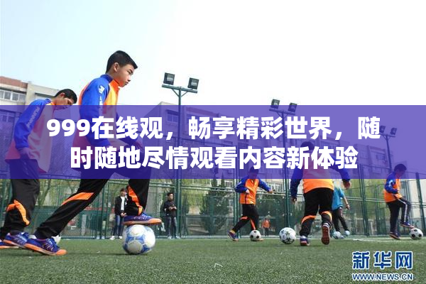 999在线观，畅享精彩世界，随时随地尽情观看内容新体验
