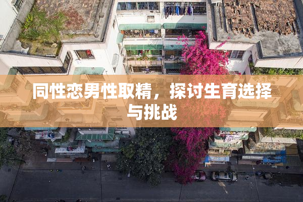 同性恋男性取精，探讨生育选择与挑战