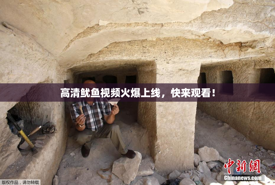 高清鱿鱼视频火爆上线，快来观看！