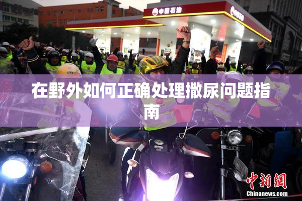 在野外如何正确处理撒尿问题指南