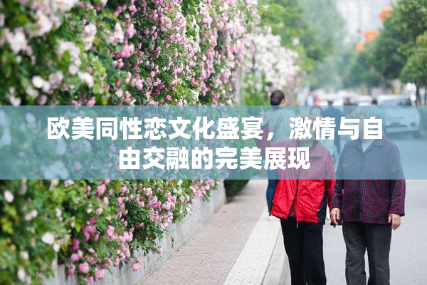 欧美同性恋文化盛宴，激情与自由交融的完美展现