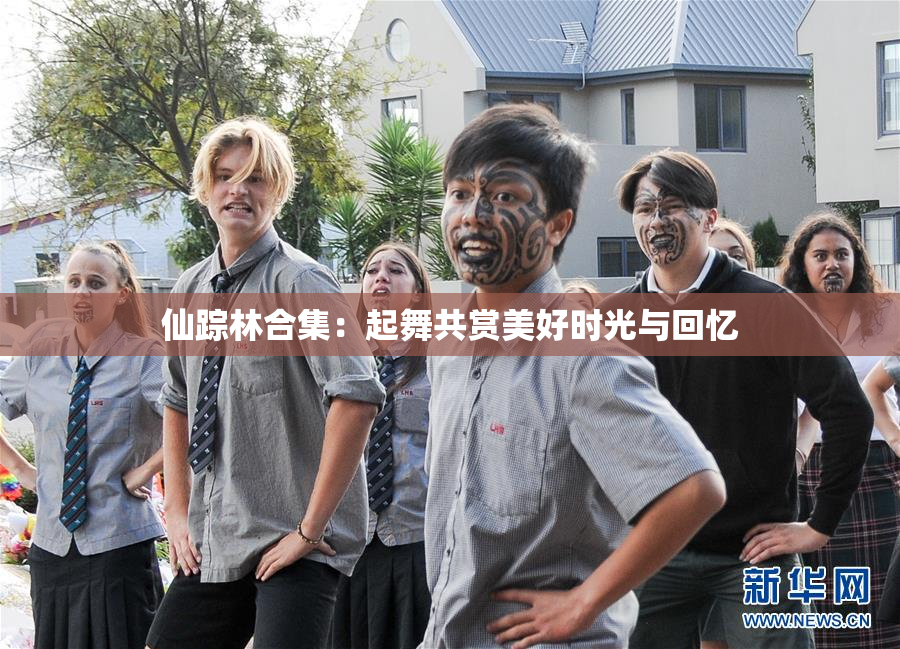 仙踪林合集：起舞共赏美好时光与回忆