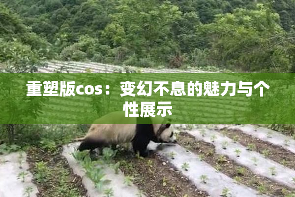 重塑版cos：变幻不息的魅力与个性展示