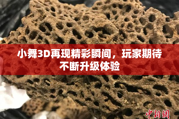 小舞3D再现精彩瞬间，玩家期待不断升级体验