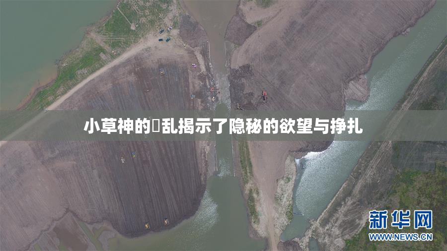 小草神的婬乱揭示了隐秘的欲望与挣扎