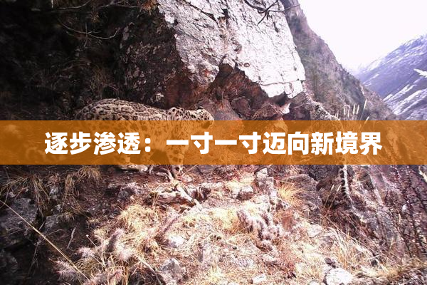 逐步渗透：一寸一寸迈向新境界