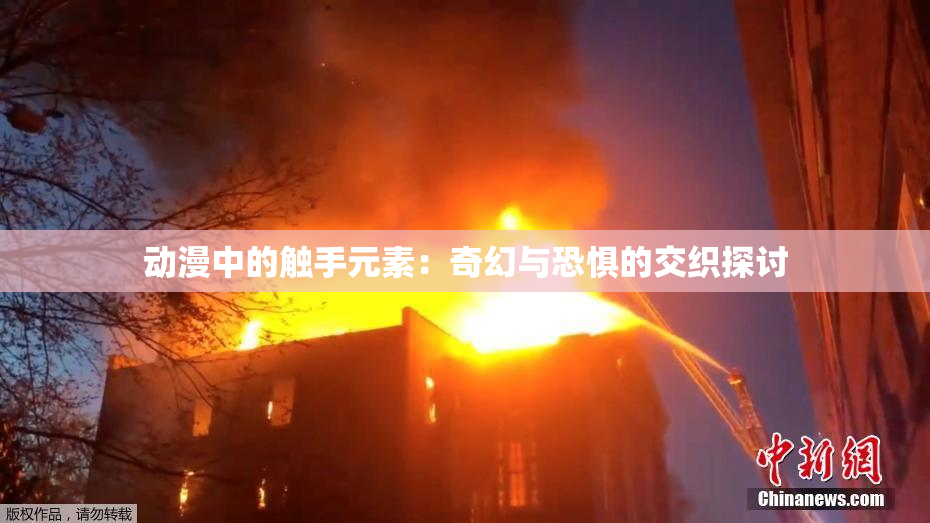 动漫中的触手元素：奇幻与恐惧的交织探讨