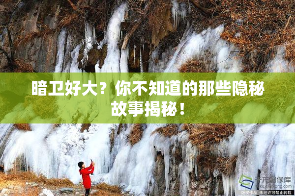 暗卫好大？你不知道的那些隐秘故事揭秘！