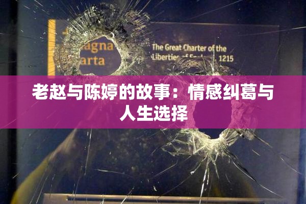 老赵与陈婷的故事：情感纠葛与人生选择