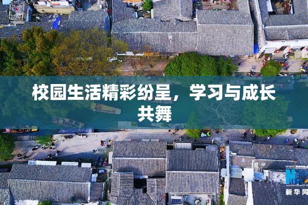 校园生活精彩纷呈，学习与成长共舞