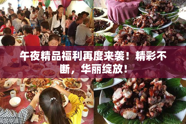 午夜精品福利再度来袭！精彩不断，华丽绽放！