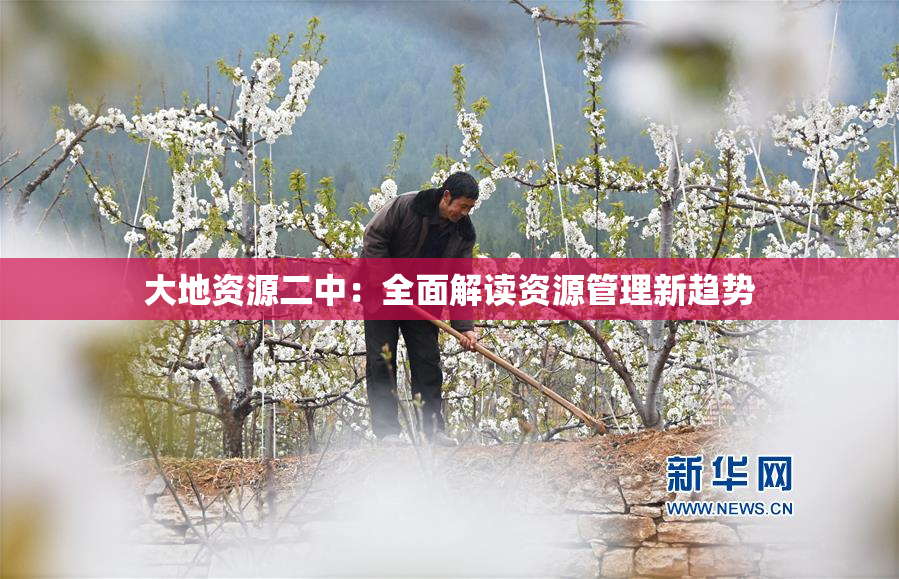 大地资源二中：全面解读资源管理新趋势
