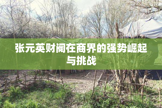 张元英财阀在商界的强势崛起与挑战