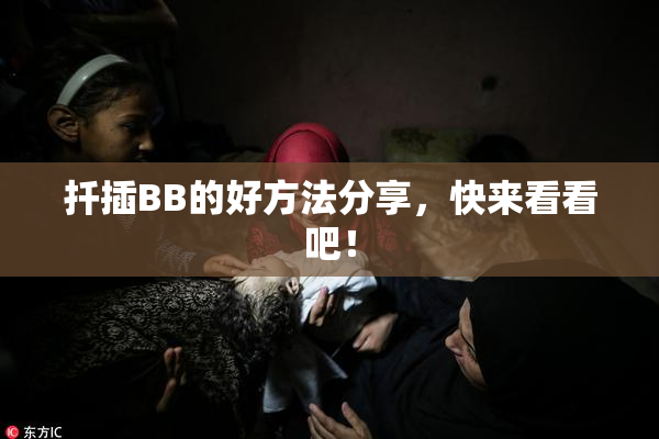 扦插BB的好方法分享，快来看看吧！