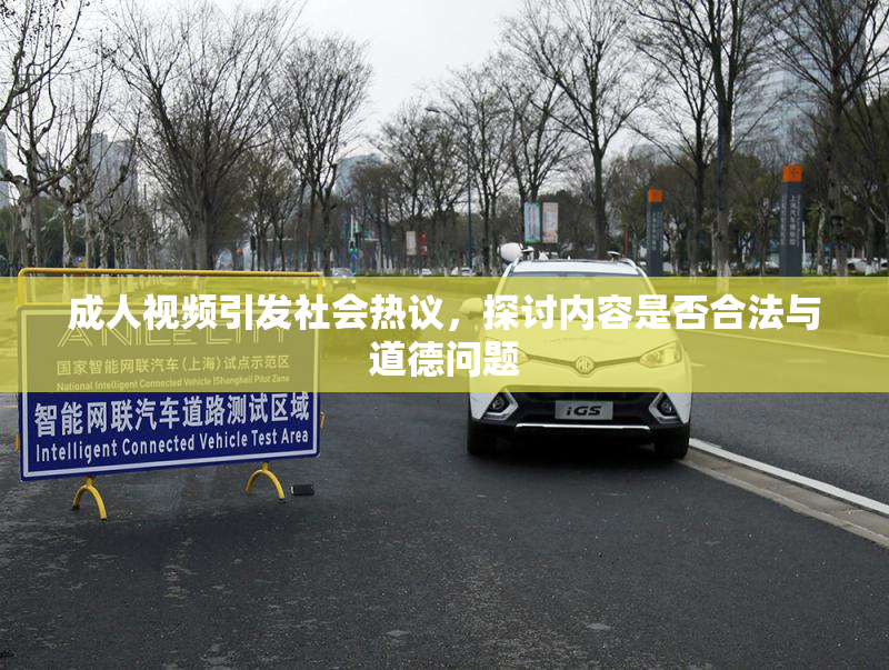 成人视频引发社会热议，探讨内容是否合法与道德问题