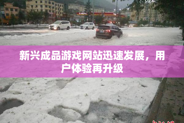 新兴成品游戏网站迅速发展，用户体验再升级