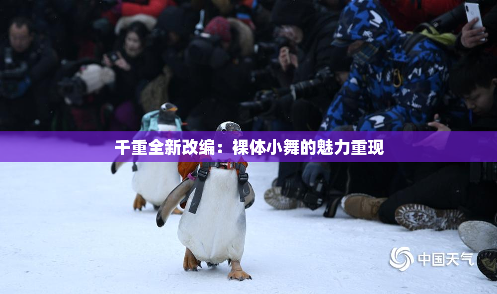 千重全新改编：裸体小舞的魅力重现