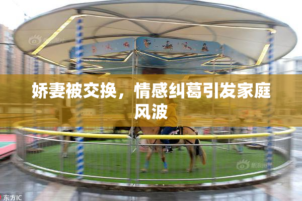 娇妻被交换，情感纠葛引发家庭风波