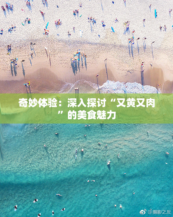 奇妙体验：深入探讨“又黄又肉”的美食魅力