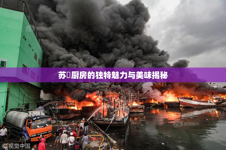 苏玥厨房的独特魅力与美味揭秘