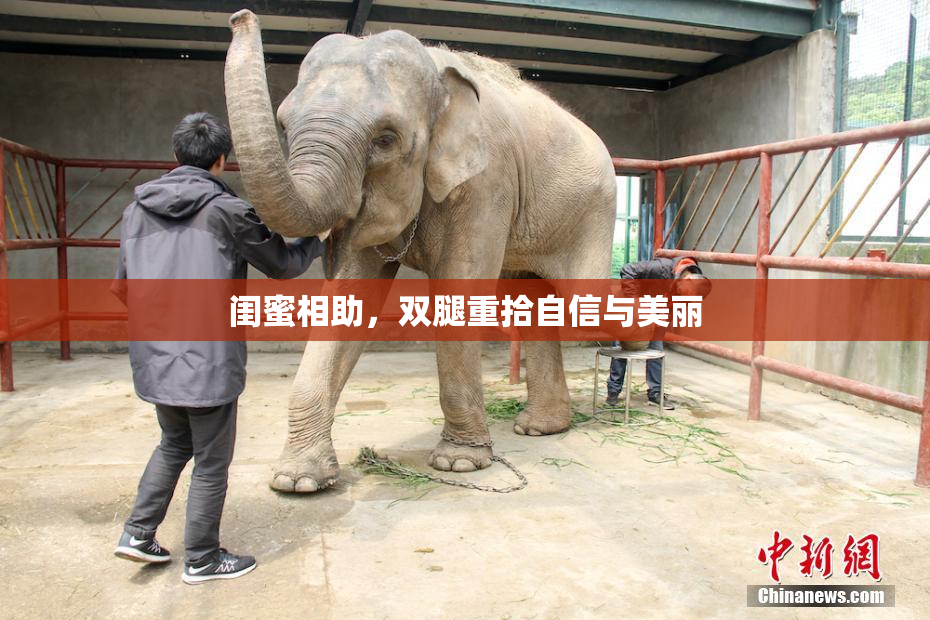 闺蜜相助，双腿重拾自信与美丽
