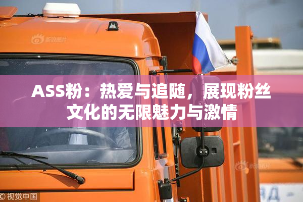 ASS粉：热爱与追随，展现粉丝文化的无限魅力与激情