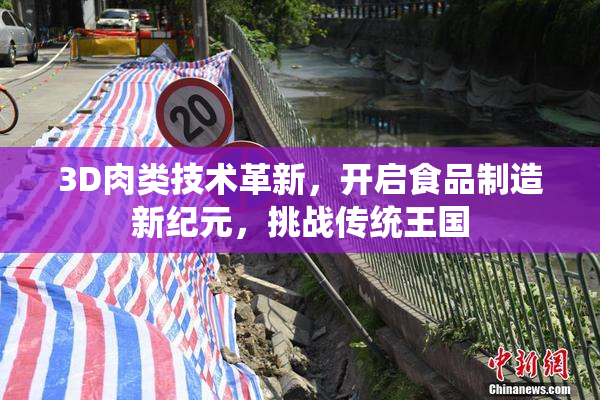 3D肉类技术革新，开启食品制造新纪元，挑战传统王国