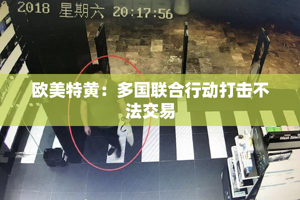 欧美特黄：多国联合行动打击不法交易