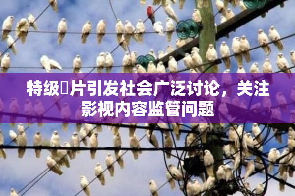 特级婬片引发社会广泛讨论，关注影视内容监管问题
