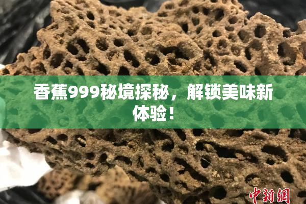 香蕉999秘境探秘，解锁美味新体验！
