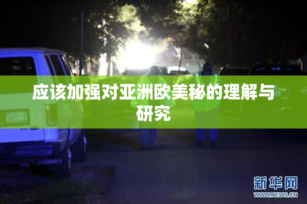 应该加强对亚洲欧美秘的理解与研究