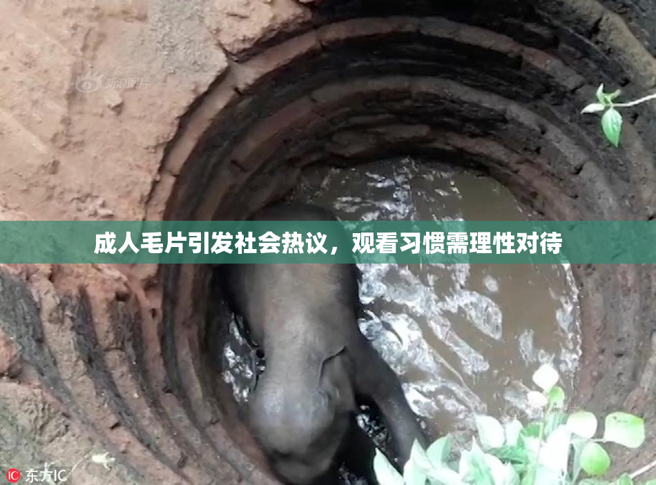 成人毛片引发社会热议，观看习惯需理性对待