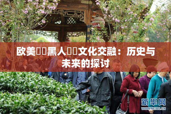 欧美❌‌黑人❌‌文化交融：历史与未来的探讨