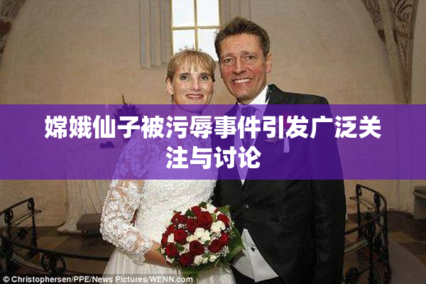嫦娥仙子被污辱事件引发广泛关注与讨论