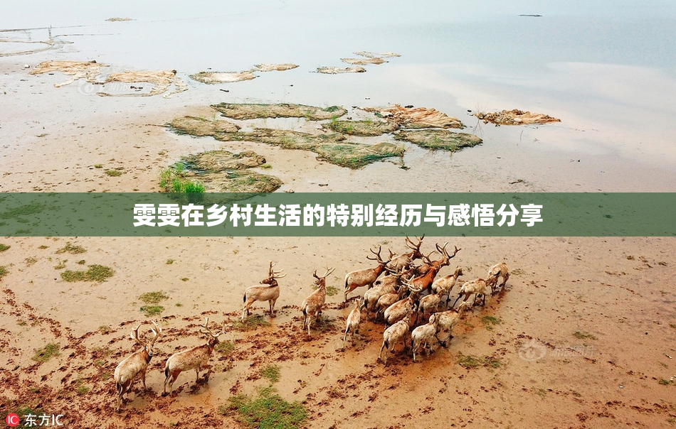 雯雯在乡村生活的特别经历与感悟分享