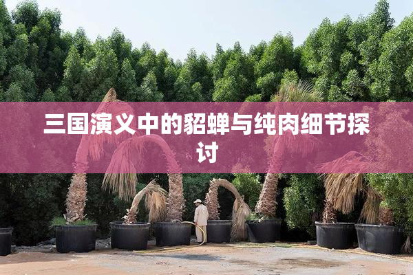 三国演义中的貂蝉与纯肉细节探讨
