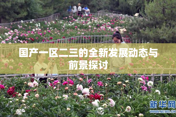 国产一区二三的全新发展动态与前景探讨